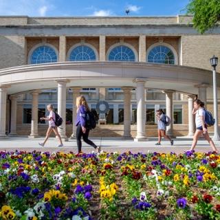 在一个阳光明媚的日子里，TCU的学生们走过图书馆附近的一个五颜六色的三色堇花坛